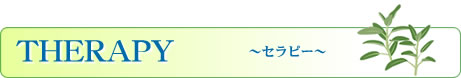 THERAPY ～セラピー～